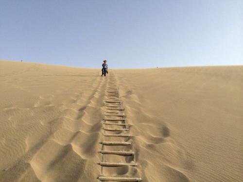 借阅风景有时可能会影响您的心情