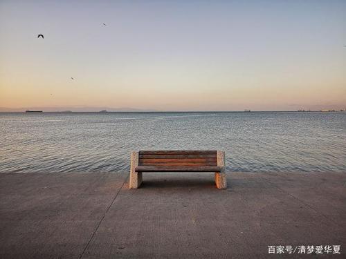 走向白头