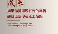 描写成长的句子