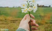 生活靠自己努力的句子 努力奋斗的说说