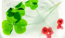 描写杯子的句子