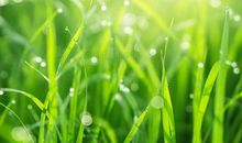 坚强开心的句子