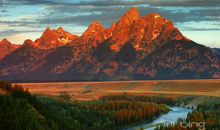 2020最新乐观励志的句子