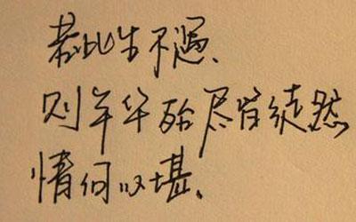 不是您