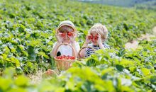 赞美感动胜似亲情句子