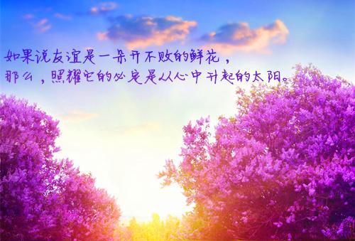 到了清晨