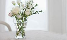 有关亲情的句子长一点