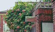 对兄弟朋友失望的句子说说心情