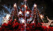 圣诞节的优美开心句子