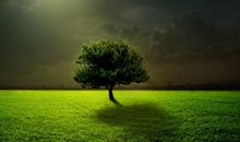 形容立秋的句子