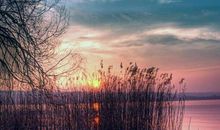 唯美惊艳的50句古风句子