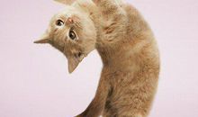 让人开心有趣的句子