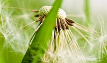 描写同事的句子