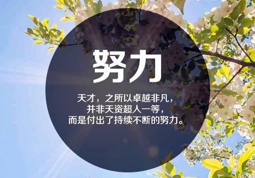 生活没有后果