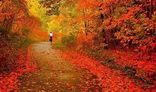 犹豫不决下不了决心的说说