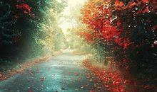 描写秋雨凄凉的句子