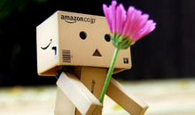 赞美玫瑰花的句子大全