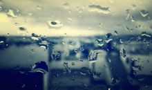 赞美荷花的好句子大全