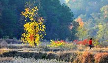 秋游开心简短的句子