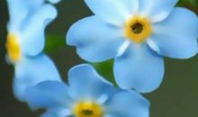 摘抄爱情感慨的句子