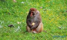 qqÍøÃûÅ®ÉúĞÄÇé²»ºÃ