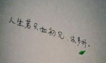人生若只如初见经典语句
