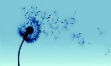 摘抄感恩的句子大全