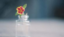 经典个性短句 经典人生短句