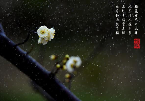   首先