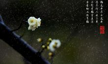 有冲劲的正能量句子