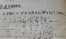 描写冬天的句子