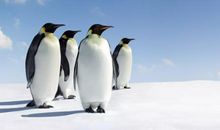 形容心情好的句子 心情美美哒说说