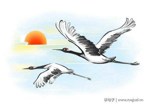 对于丹顶鹤