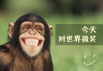 但这是一个美好的微笑