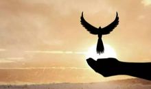 细节决定成败的名言