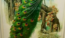 描写孔雀的句子