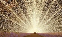 适合年底发朋友圈的句子,句句直抵人心