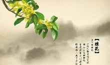 描写桂花的诗句