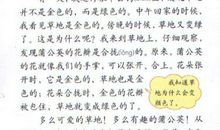 描写草地的句子