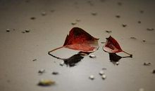 放弃爱你的签名 决定放弃一个人的签名