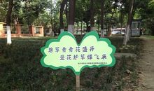 校园保护环境的标语