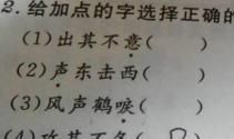 宽广怎么造句大全
