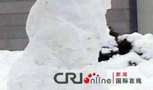 描写雪人外貌的句子