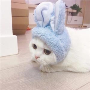 编辑编了一些关于写温馨家庭的句子