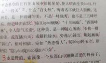 描写景物的句子100字