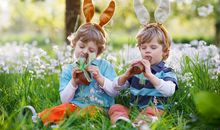 老兄妹相聚开心的句子