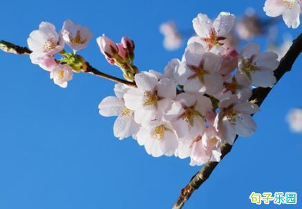 冬天来了