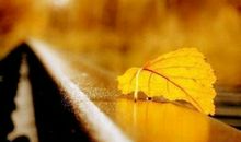 情侣幸福温馨的签名句子