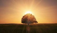 表示对一个人失望至极的句子