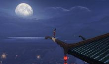 每一天夜里都睡不着，独自一个人在楼顶看月亮